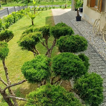 Mediterran Apartament
