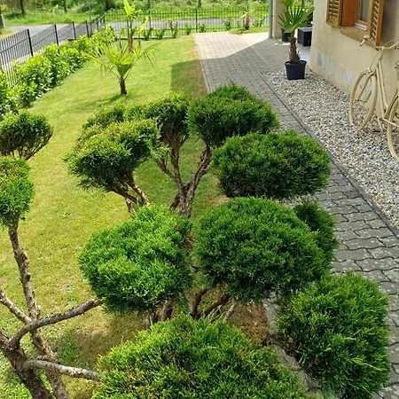 Mediterran Apartament