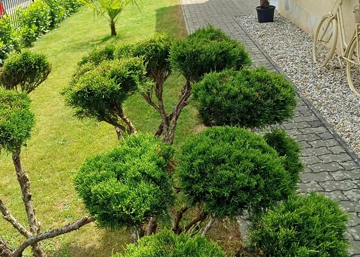Mediterran Apartment
